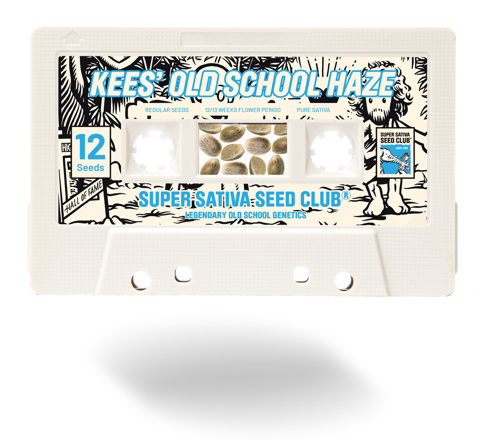 Super Sativa Seed Club - Kees' Old School Haze (reg.)