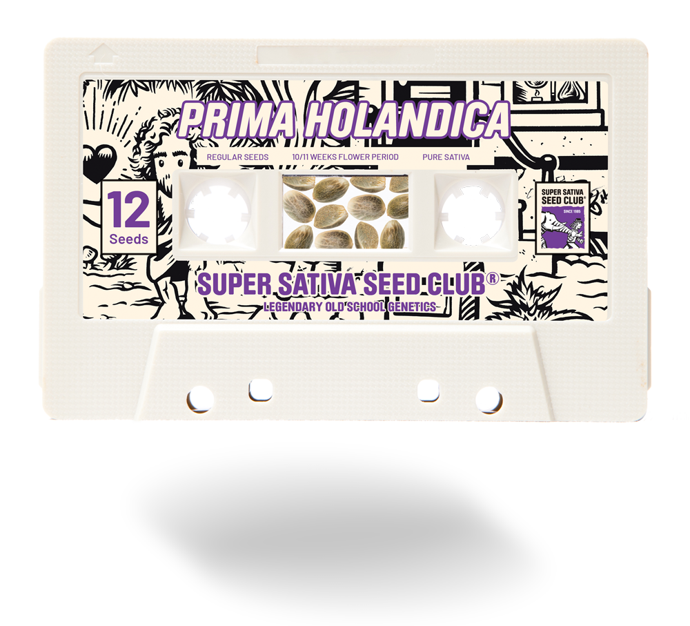 Super Sativa Seed Club - Prima Holandica (reg.)