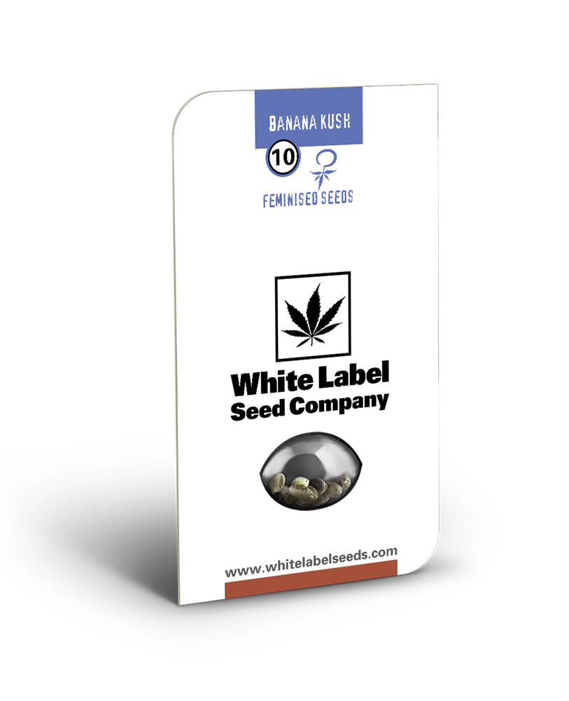 White Label Seeds - Banana Kush (fem.) White Label Seeds - Banana Kush (fem.)