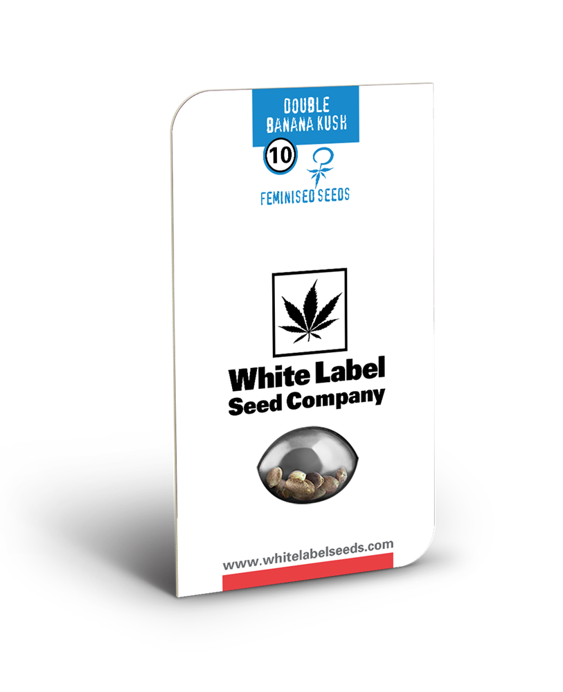 White Label Seeds - Double Banana Kush (fem.)