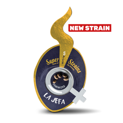 Super Strains Seeds - La Jefa (fem.) 06847