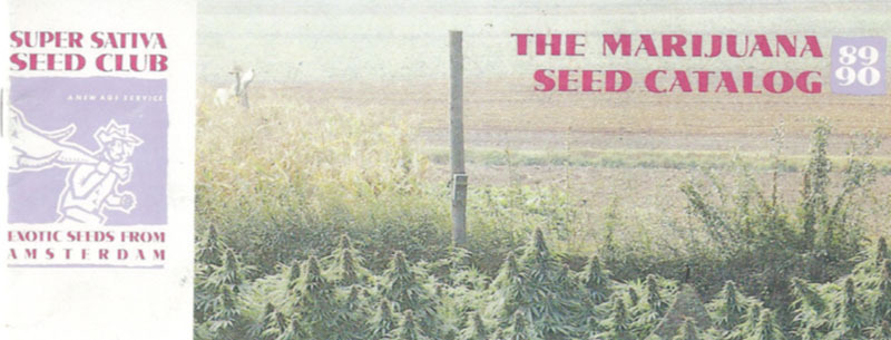 Super Sativa Seed Club - Kees' Old School Haze (reg.)