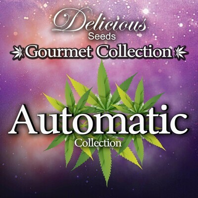 Delicious Seeds - Gourmet Collection автоцветущие сорта (auto/fem.) 02607