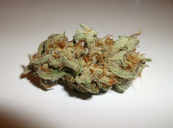 Delicious Seeds - Caramelo (reg.)