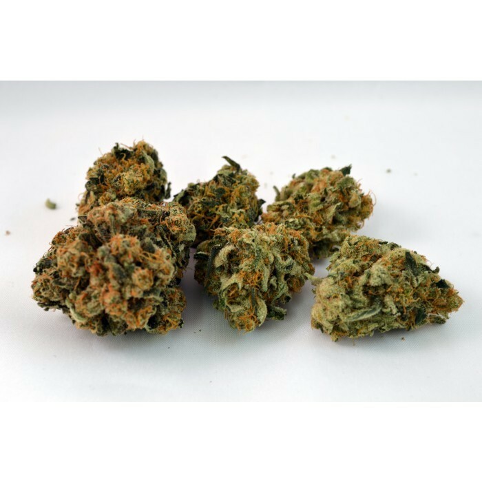 Paradise Seeds - Durga Mata II CBD (fem.)