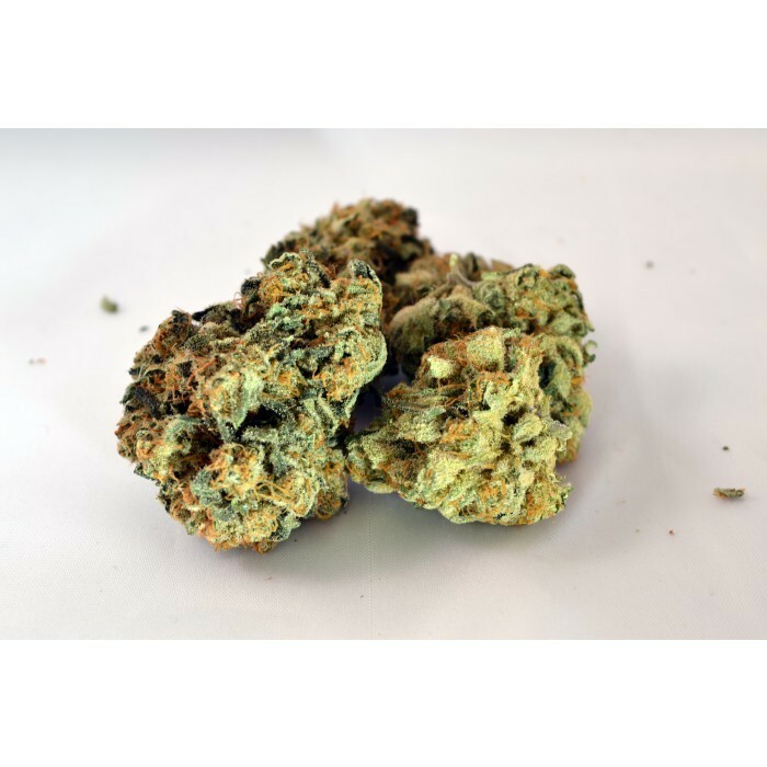Paradise Seeds - Durga Mata II CBD (fem.)