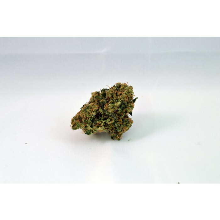 Paradise Seeds - Nebula II CBD (fem.)