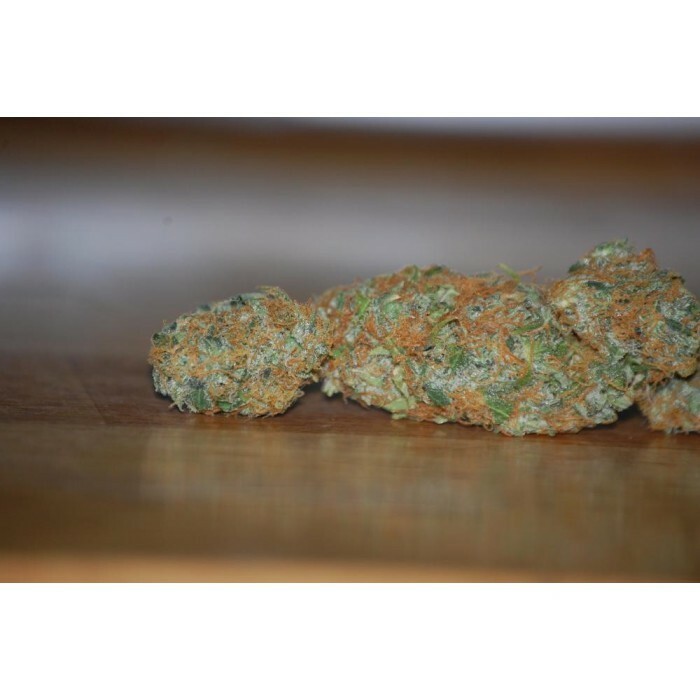 Paradise Seeds - Vertigo (auto/fem.)