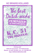 Феминизированные автоцветущие семена марихуаны K.С. Brains Seeds - K.C. 51