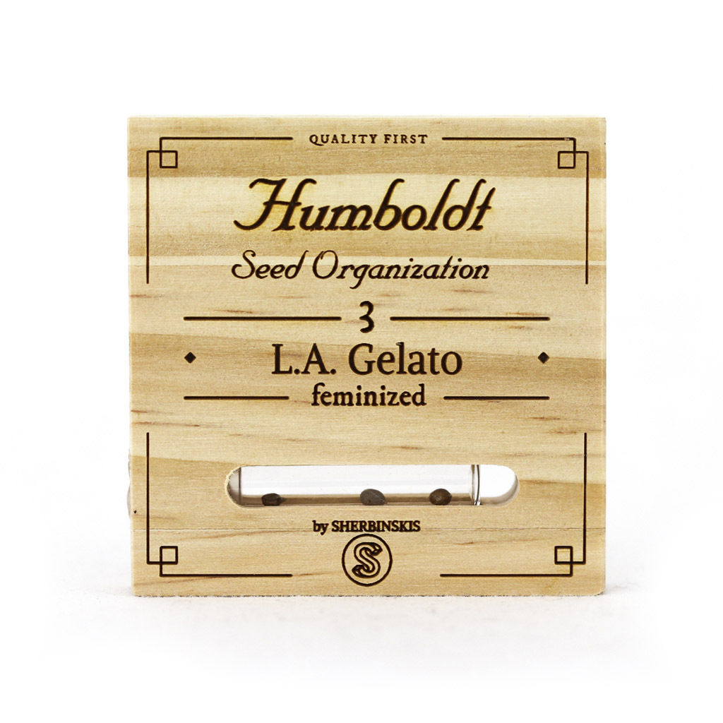 Humboldt Seed Organization - L.A. Gelato (fem.)