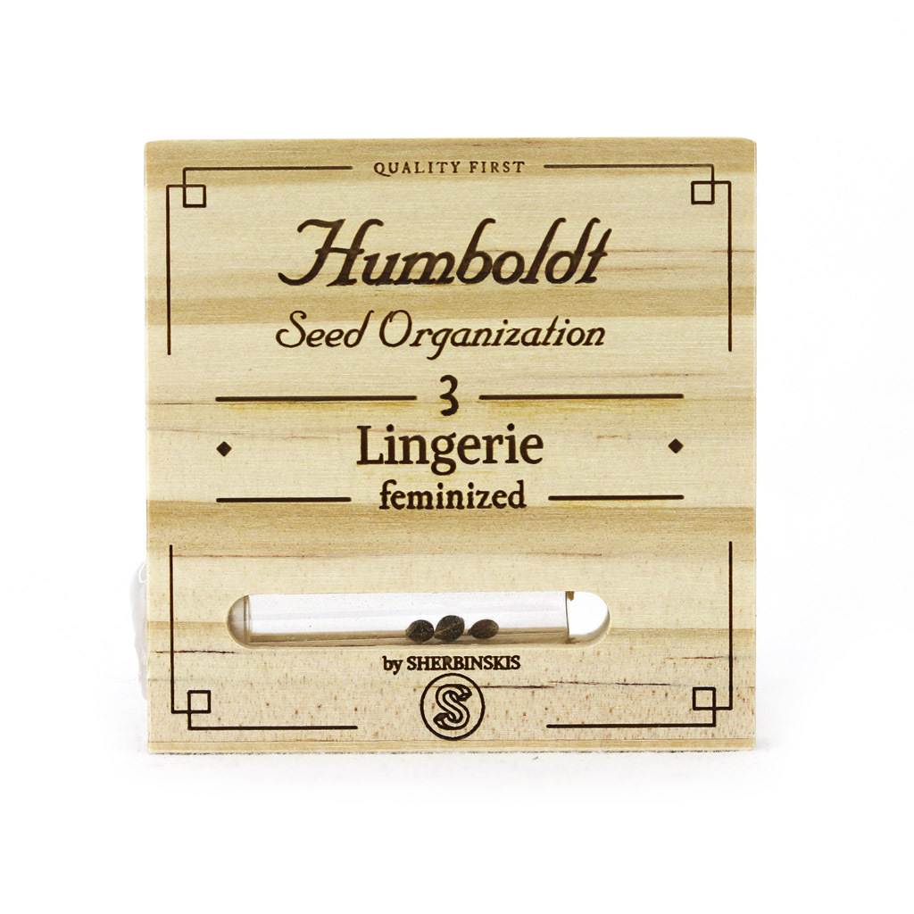 Humboldt Seed Organization - Lingerie (fem.)