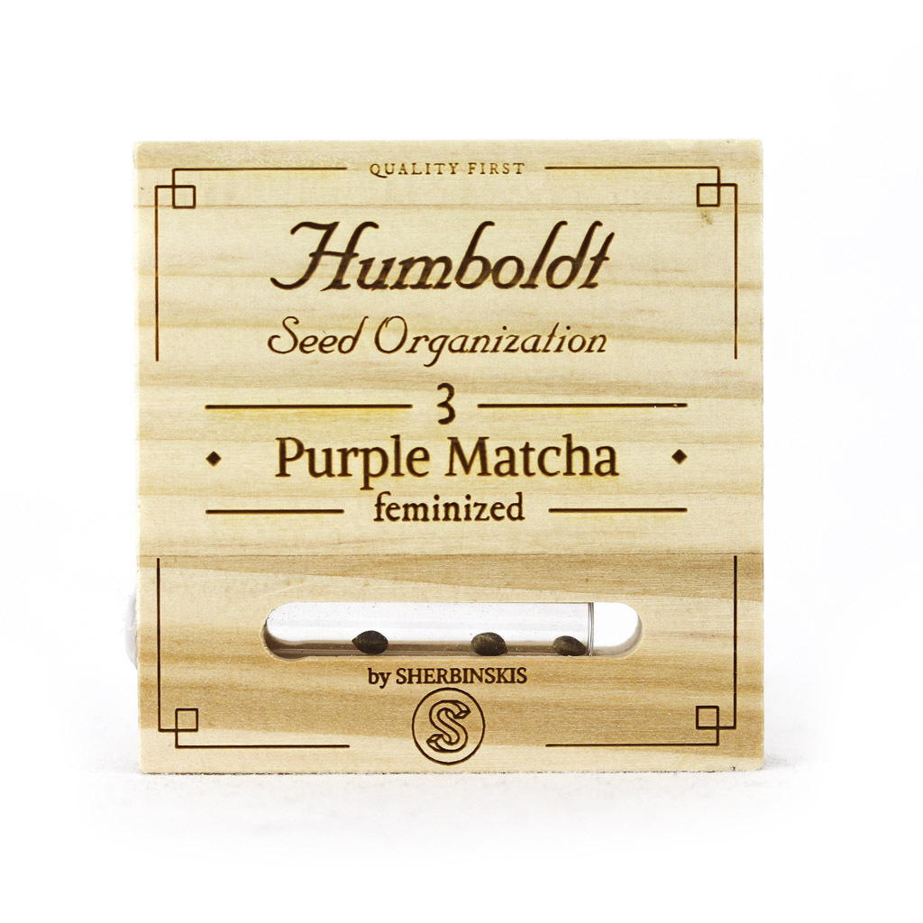 Humboldt Seed Organization - Purple Matcha (fem.)