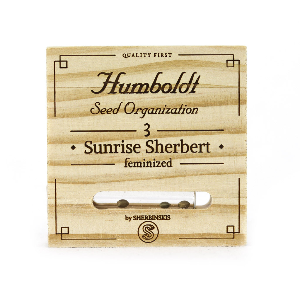 Humboldt Seed Organization - Sunrise Sherbert (fem.)