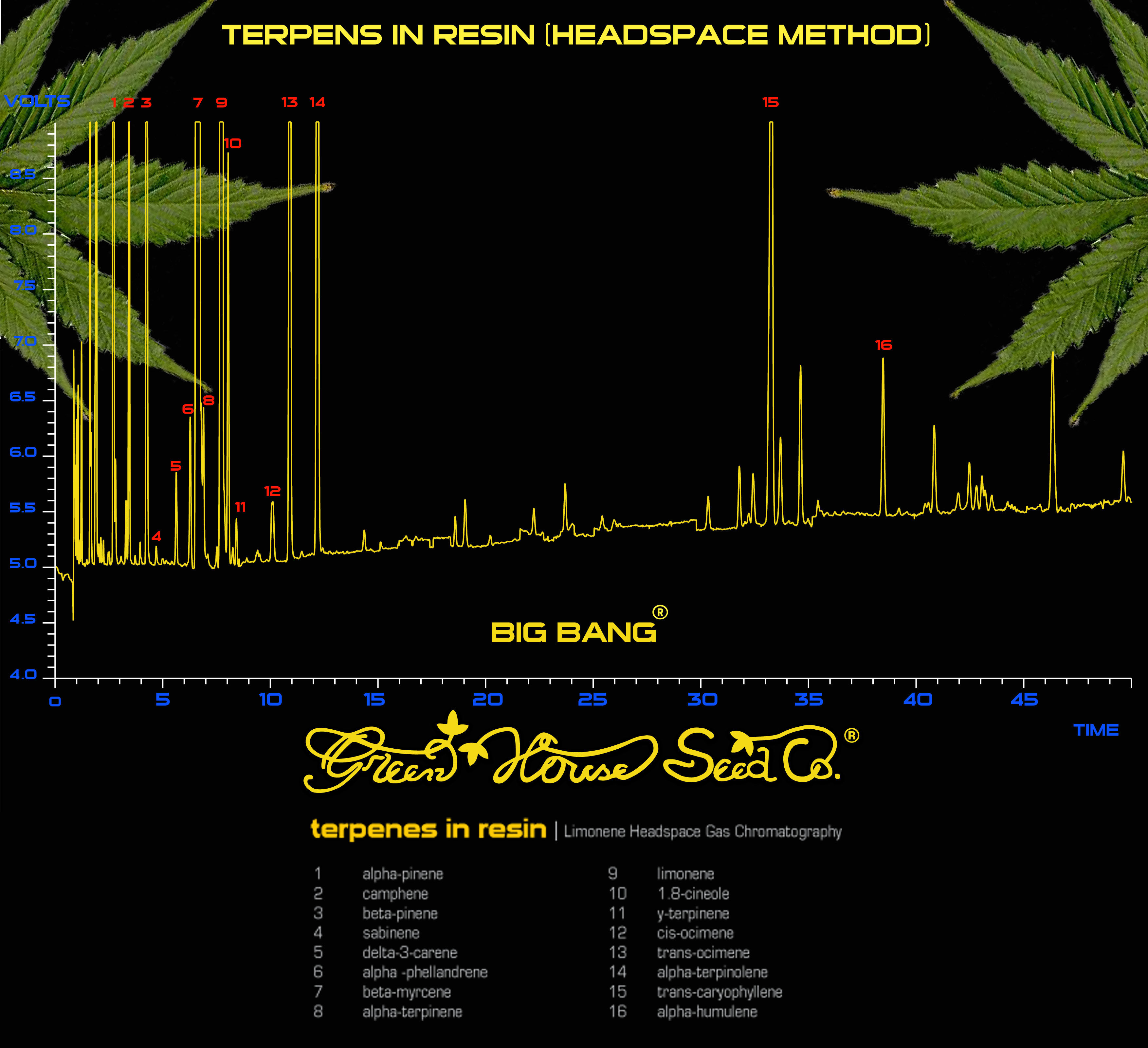 Green House Seeds - Big Bang (fem.)
