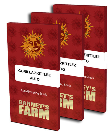 Barney's Farm - Gorilla Zkittlez Auto (auto/fem.)