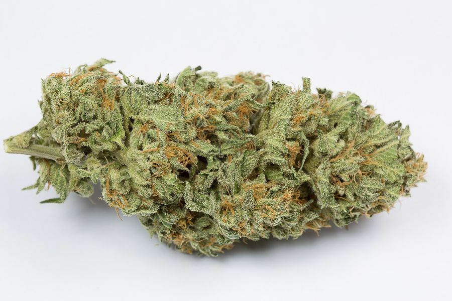 Dinafem - Bubba Kush Autoflowering (auto/fem.)