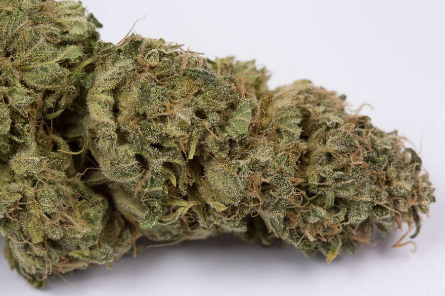 Dinafem - OG Kush Autoflowering (auto/fem.)