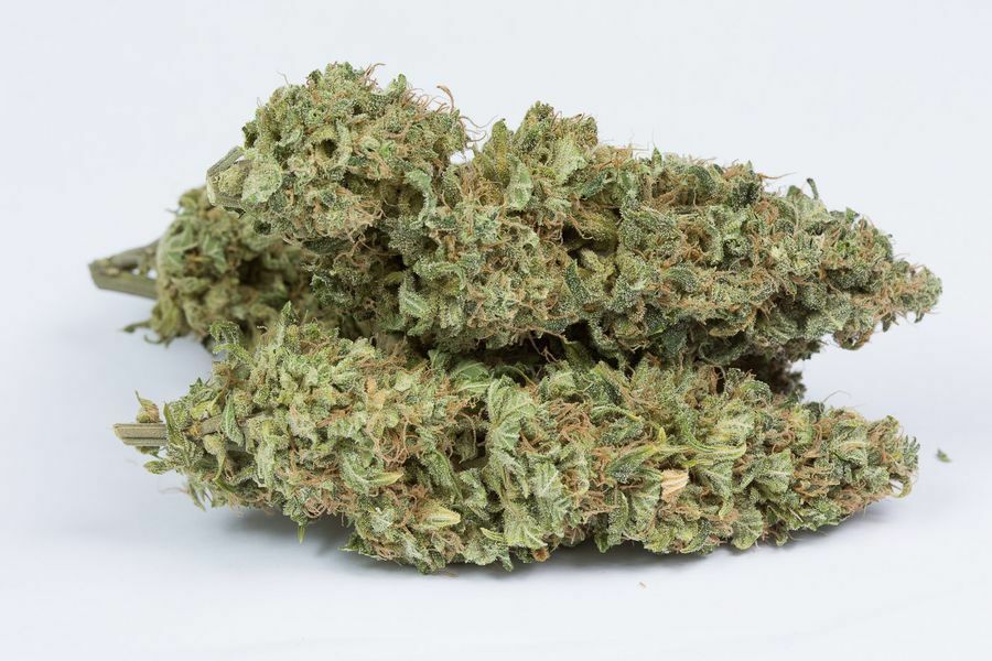 Dinafem - OG Kush Autoflowering (auto/fem.)
