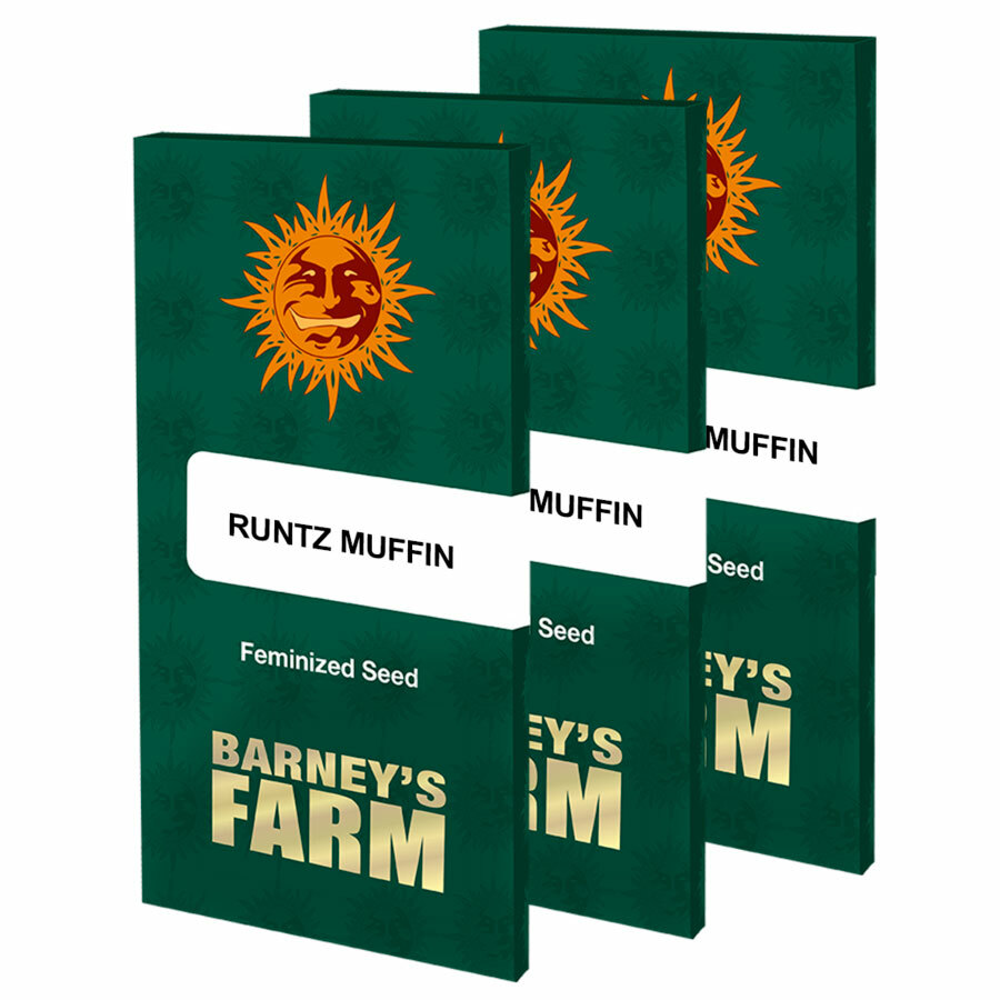 Barney's Farm - Runtz Muffin (fem.)