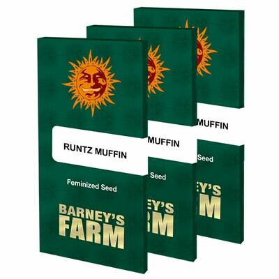 Barney's Farm - Runtz Muffin (fem.) 07076