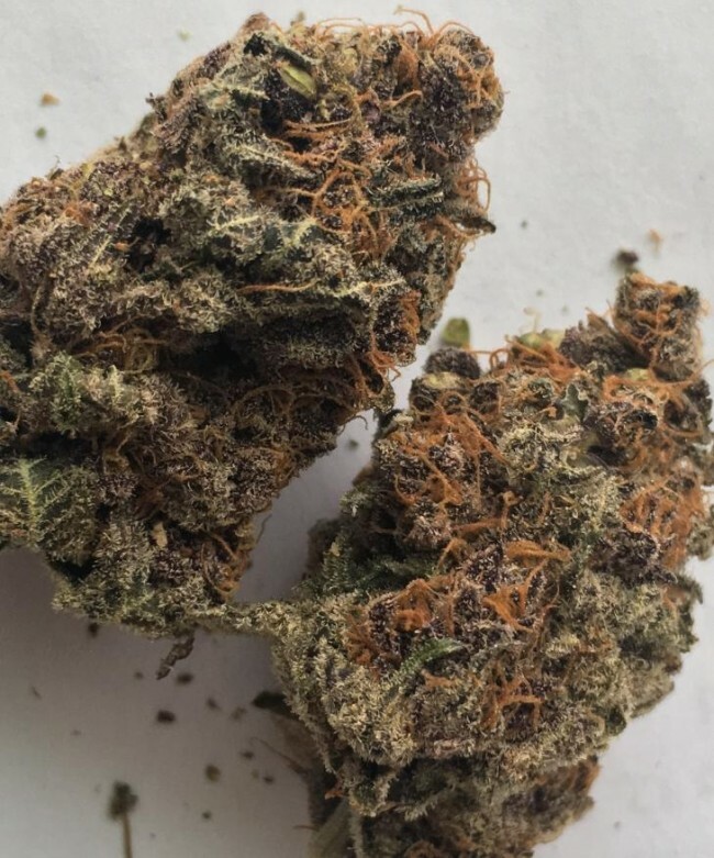 Ace Seeds - Bubba Kush x PCK (reg.)