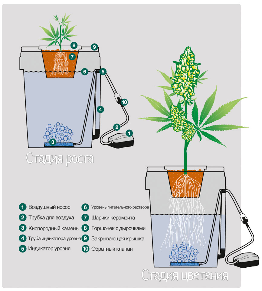 Система гидропоники для одного растения HortiPot
