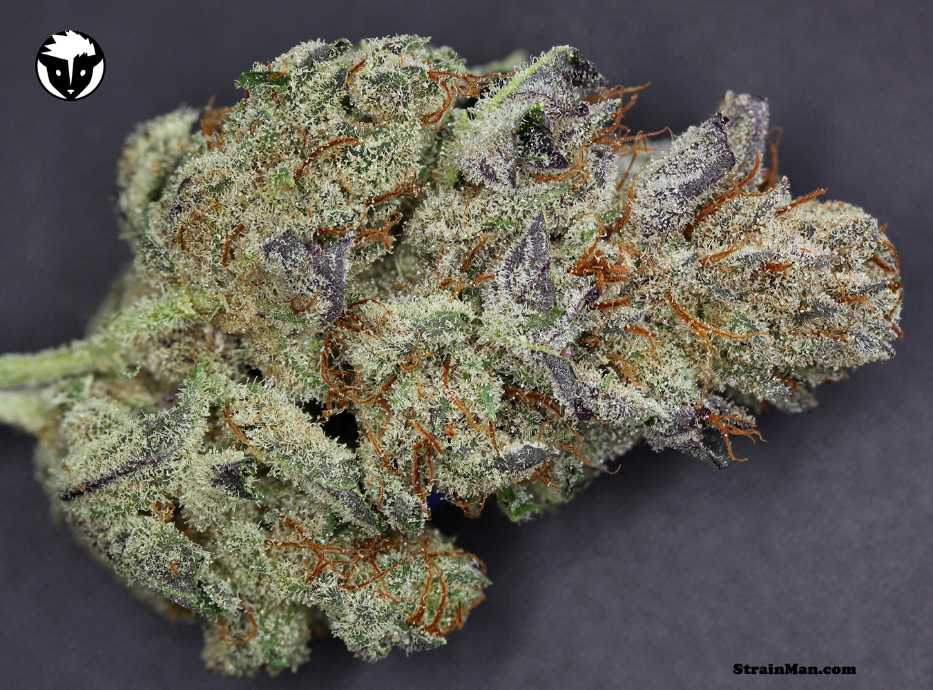 Rare Dankness - 501st OG (reg.)
