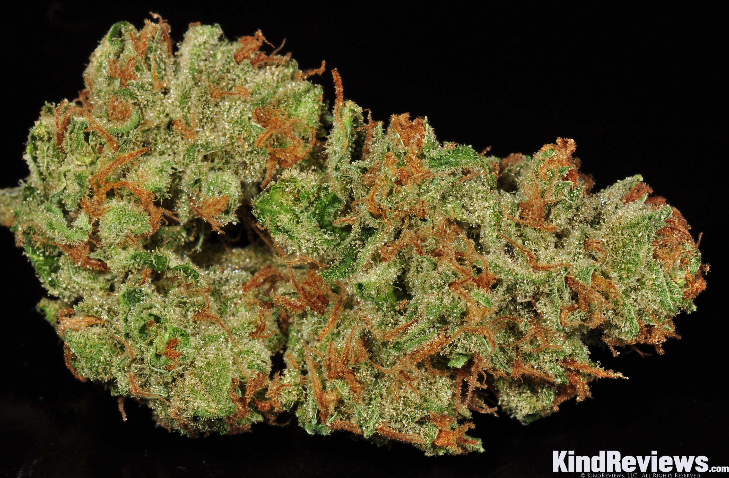 Rare Dankness - Moonshine Haze (reg.)
