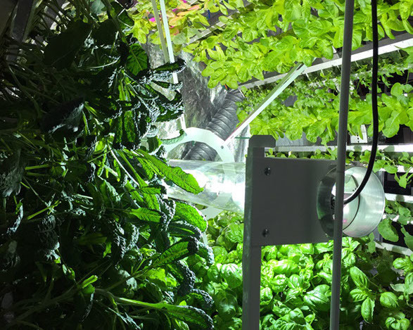 Профессиональная гидропонная система Gi Grow 336 (до 336 растений)