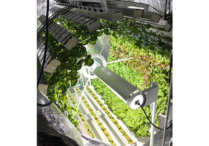 Профессиональная гидропонная система Gi Grow 336 (до 336 растений)