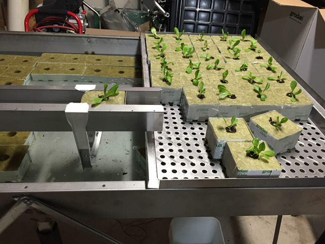 Профессиональная гидропонная система Gi Grow 336 (до 336 растений)