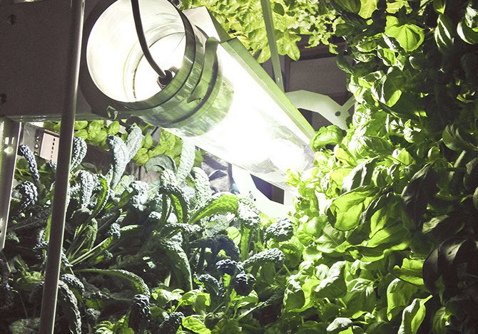 Профессиональная гидропонная система Gi Grow 336 (до 336 растений)