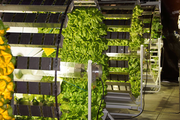 Профессиональная гидропонная система Gi Grow 336 (до 336 растений)