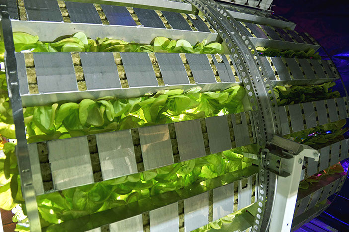 Профессиональная гидропонная система Gi Grow 336 (до 336 растений)