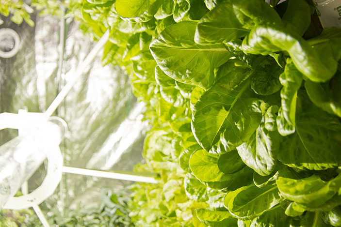 Профессиональная гидропонная система Gi Grow 336 (до 336 растений)