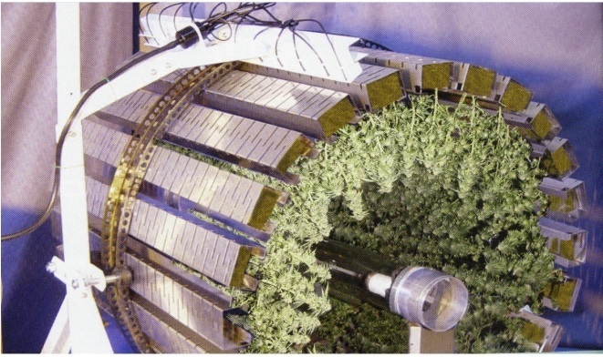 Профессиональная гидропонная система Gi Grow 336 (до 336 растений)