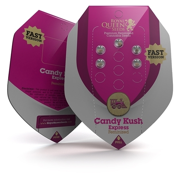 Royal Queen Seeds - Candy Kush Express Fast Version (fem.)