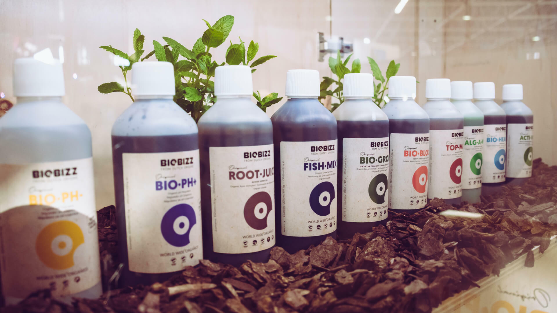 Bio Bizz - Bio Grow (органическое удобрение для стадии роста)