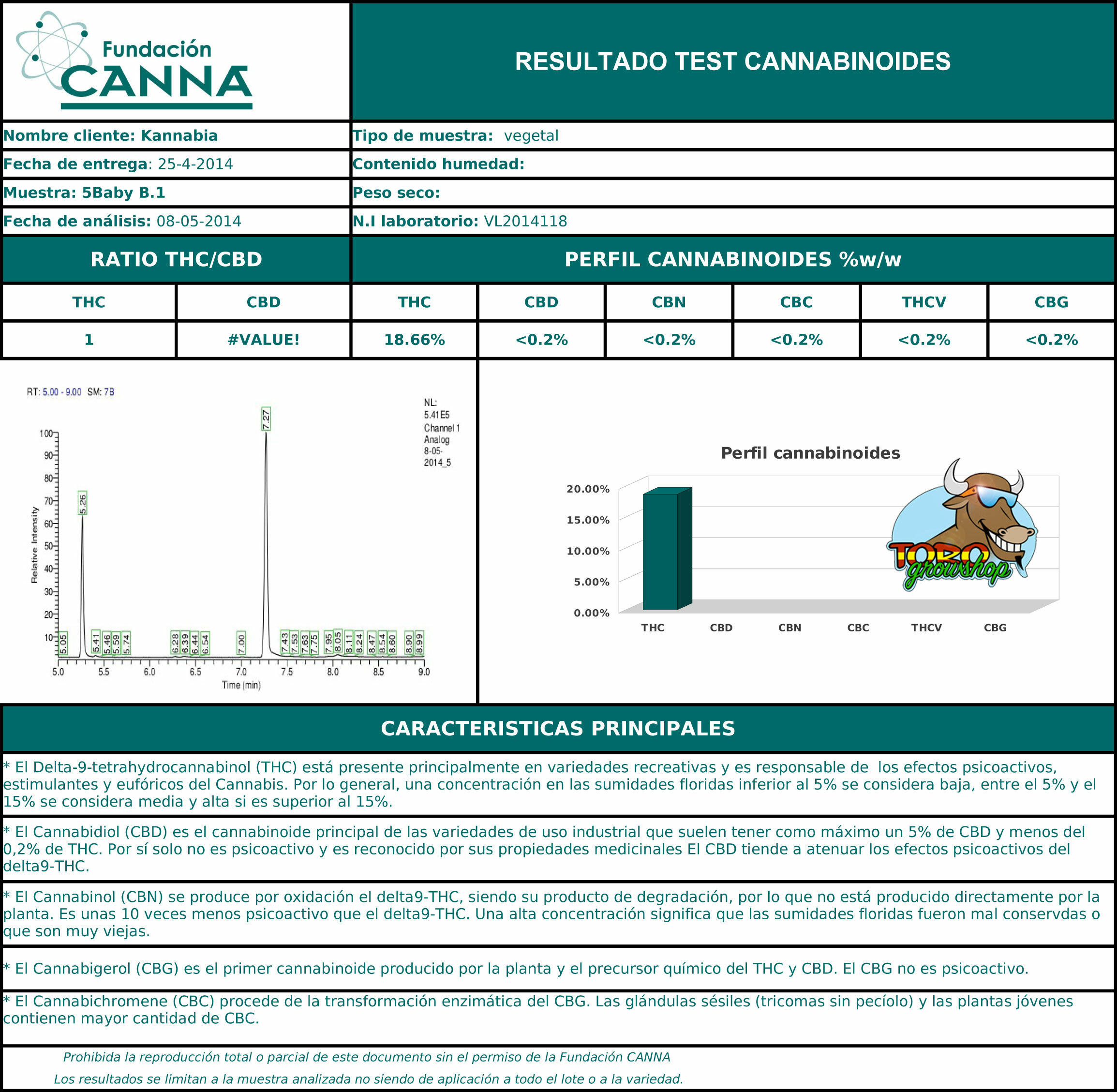 Kannabia Seeds - Baby Boom Auto (auto/fem.)