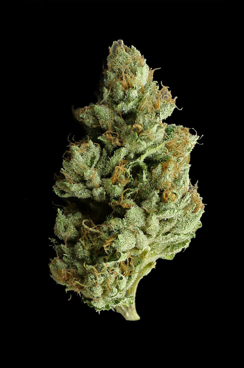 TGA Subcool Seeds - Jesus OG (reg.)