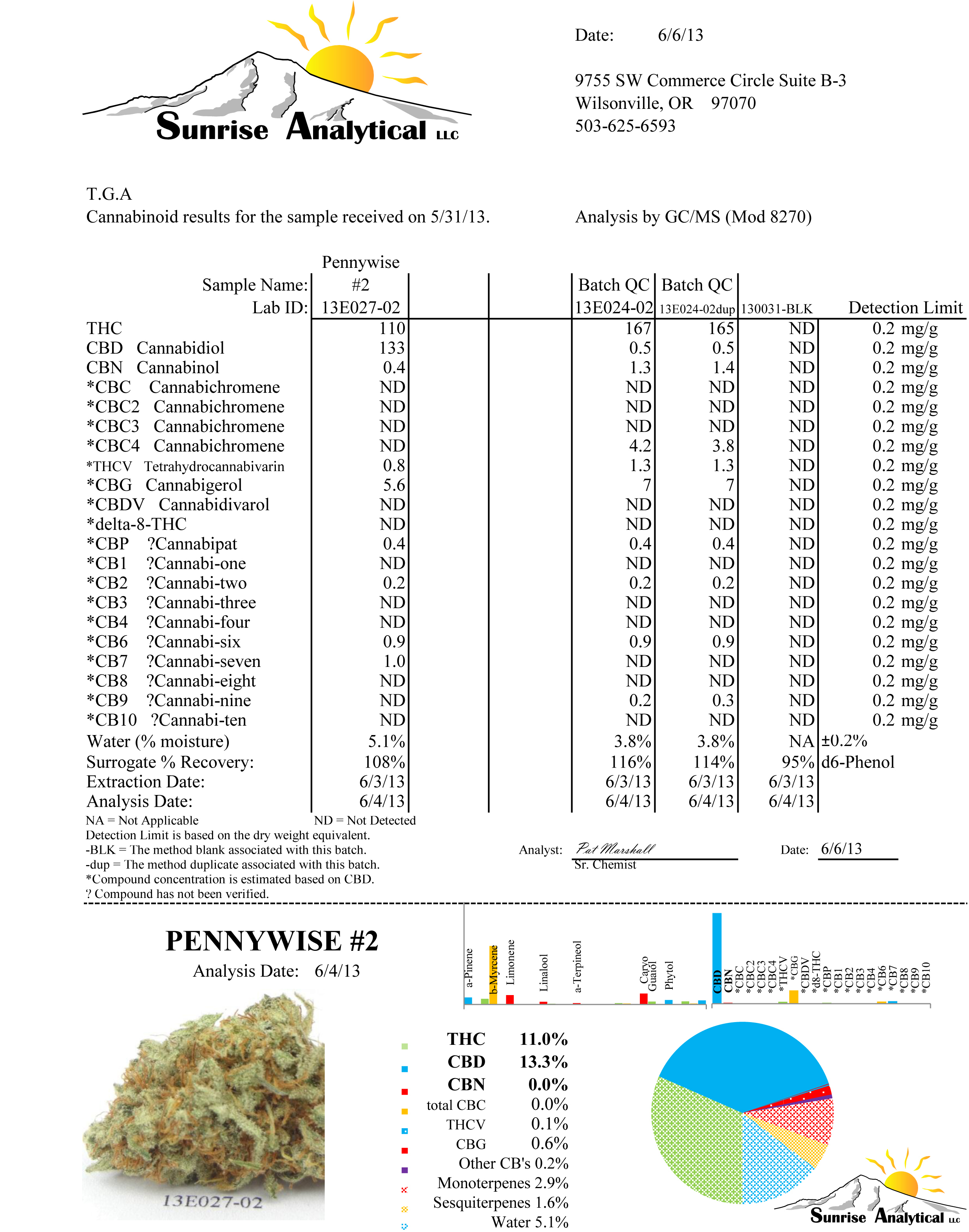 TGA Subcool Seeds - Pennywise (reg.)
