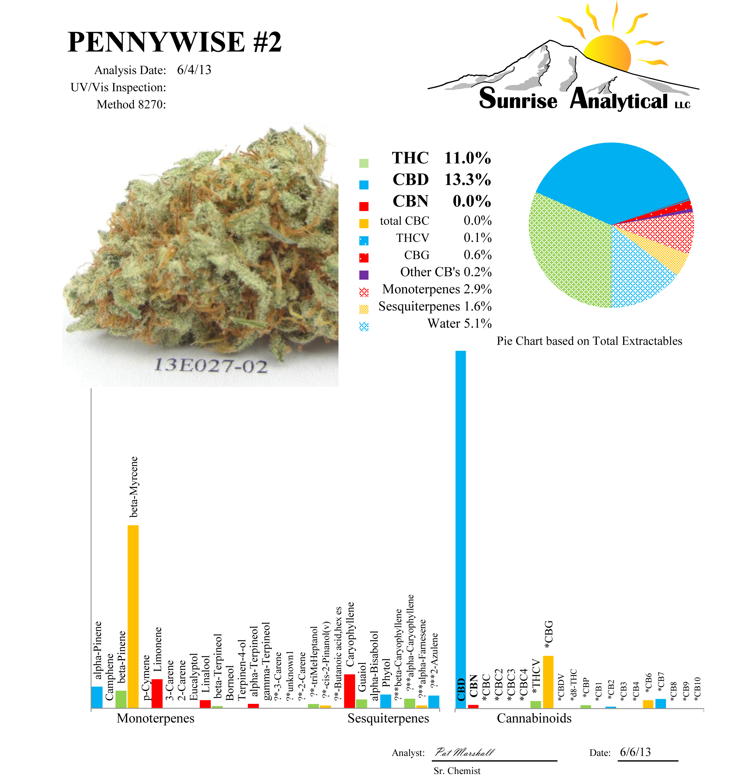 TGA Subcool Seeds - Pennywise (reg.)