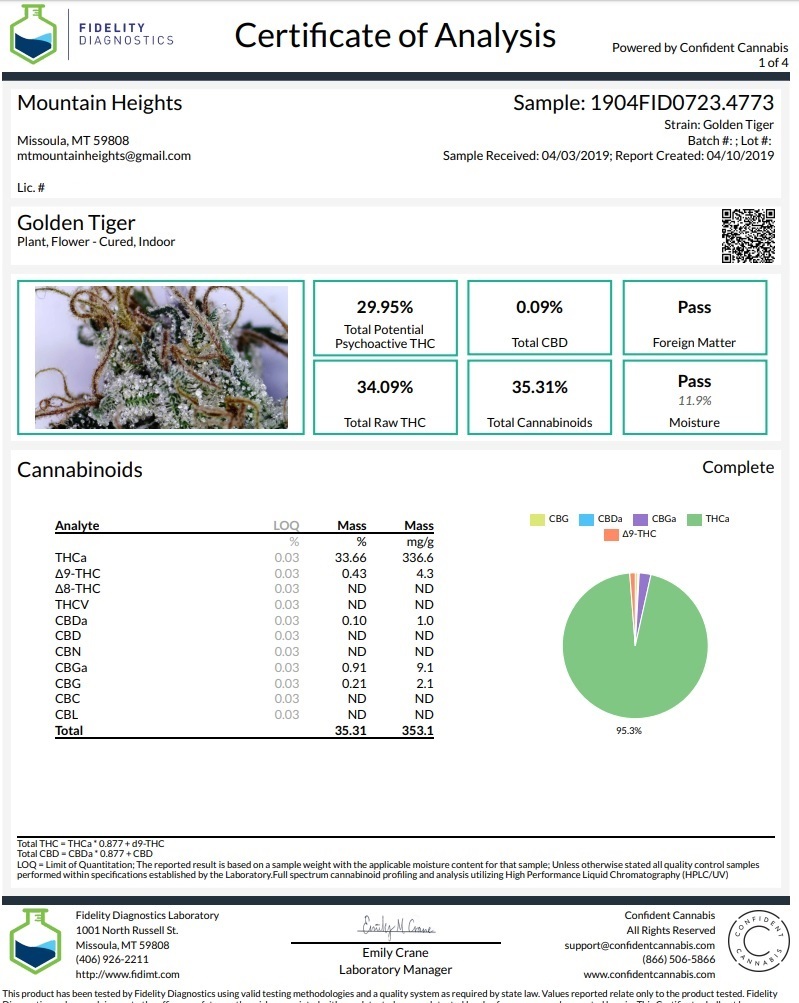Ace Seeds - Golden Tiger (fem.)