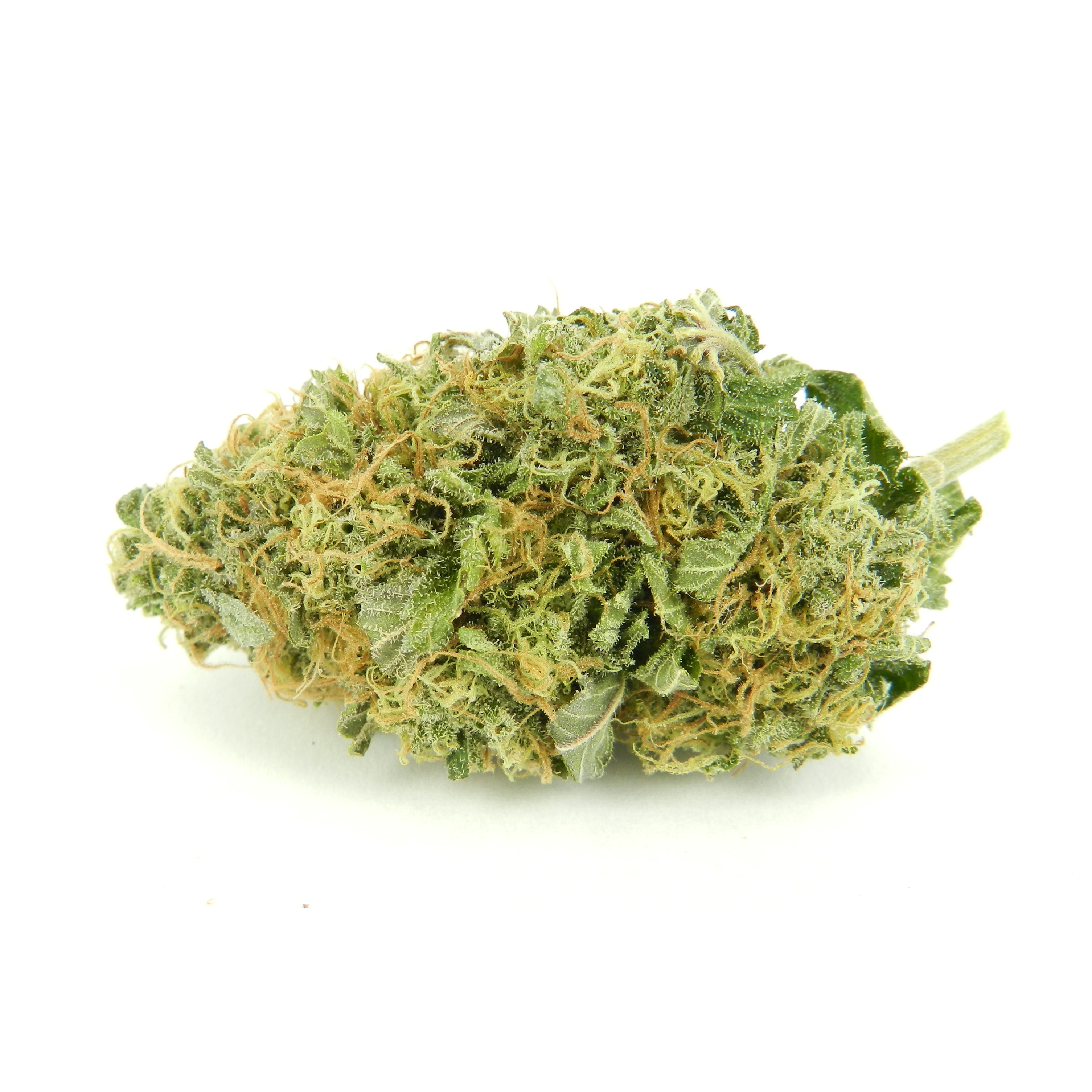 VIP Seeds - Auto Torpedo (auto/fem.)
