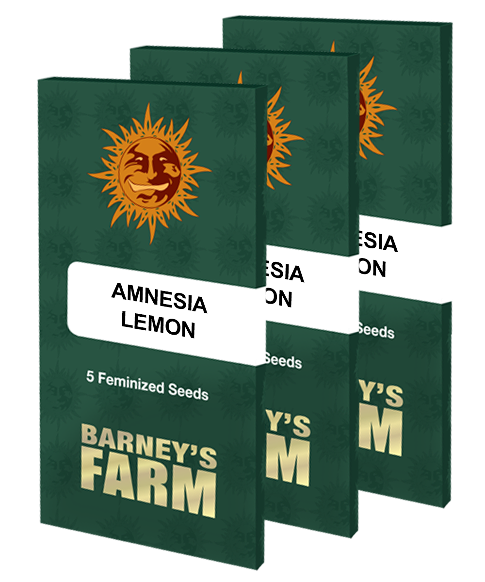 Barney's Farm - Amnesia Lemon (fem.)