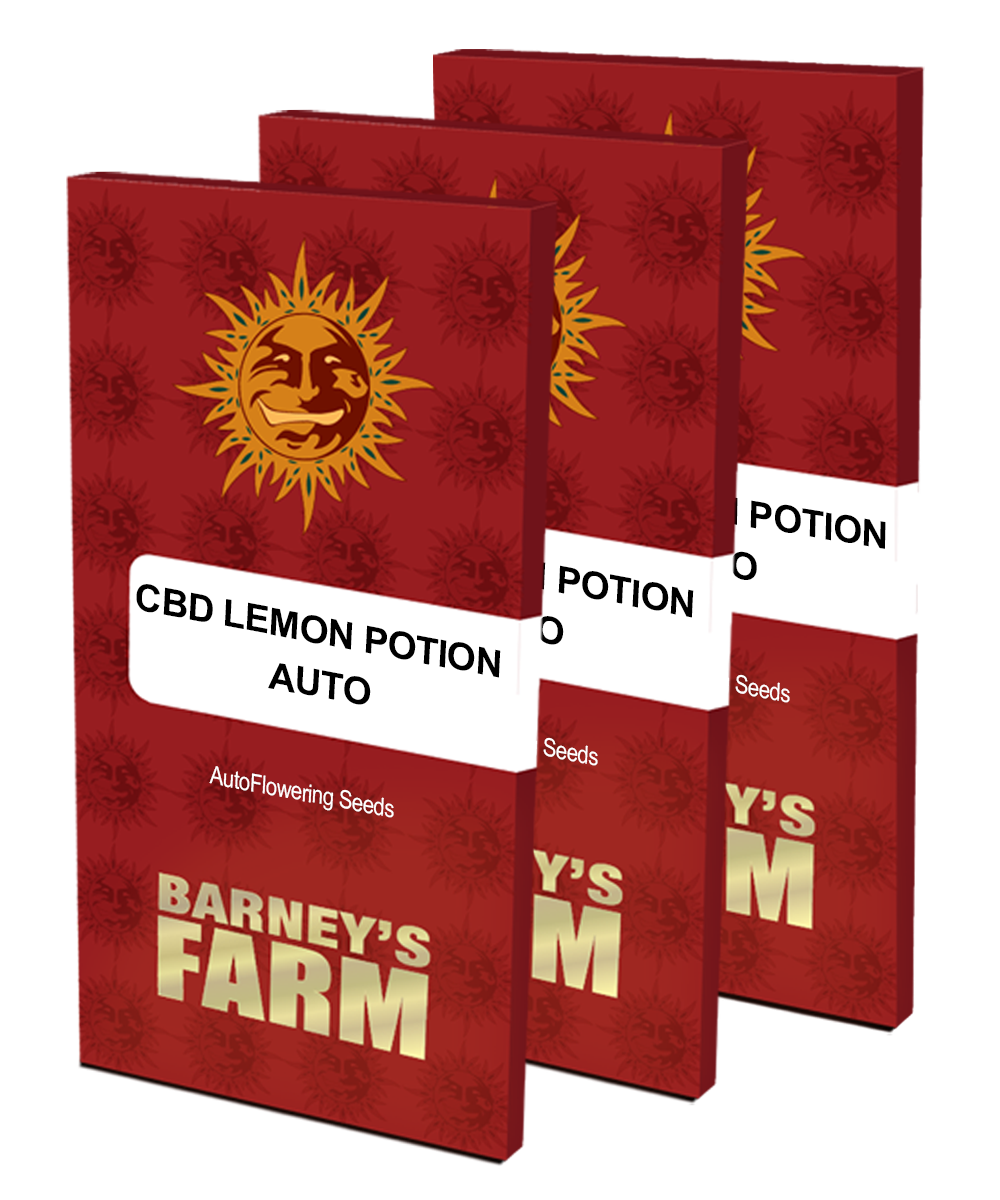 Barney's Farm - CBD Lemon Potion Auto (auto/fem.)