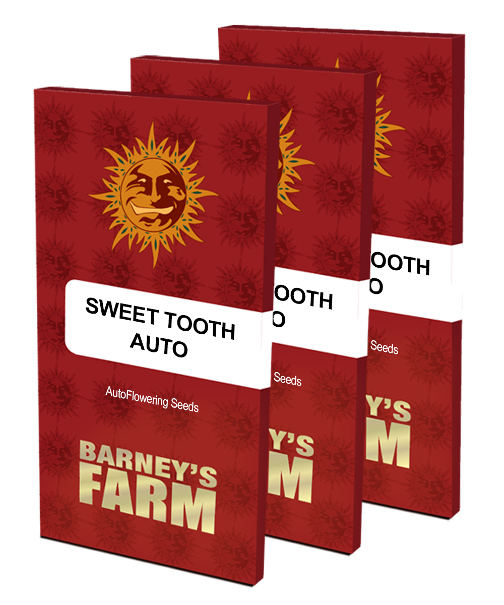 Barney's Farm - Sweet Tooth Auto (auto/fem.)