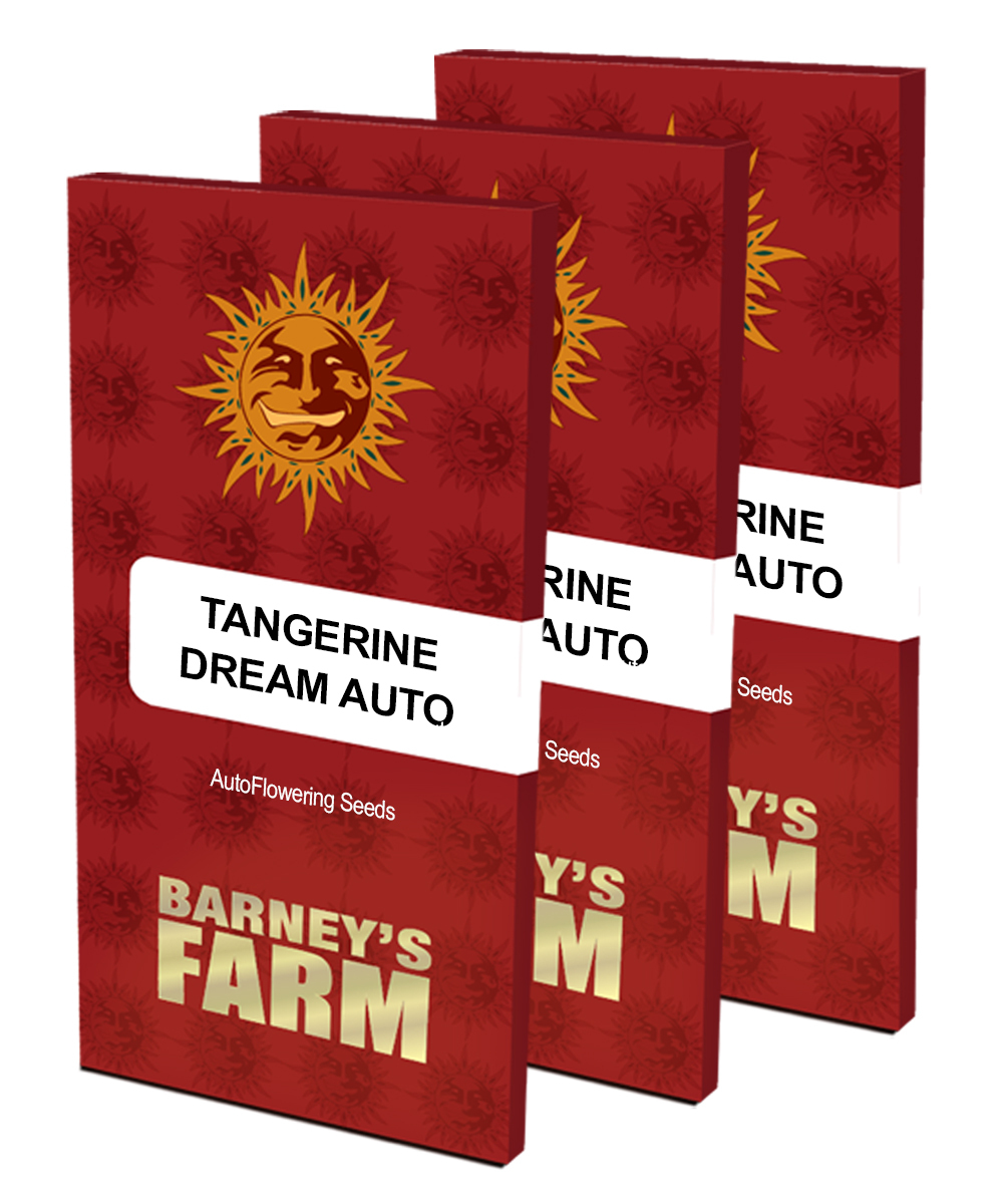 Barney's Farm - Tangerine Dream Auto (auto/fem.)