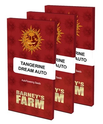 Barney's Farm - Tangerine Dream Auto (auto/fem.) 04946