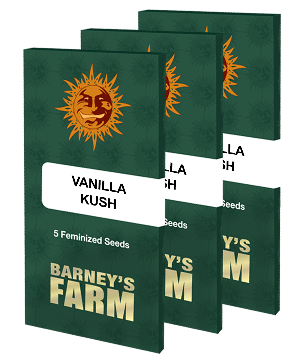 Barney's Farm - Vanilla Kush (fem.)